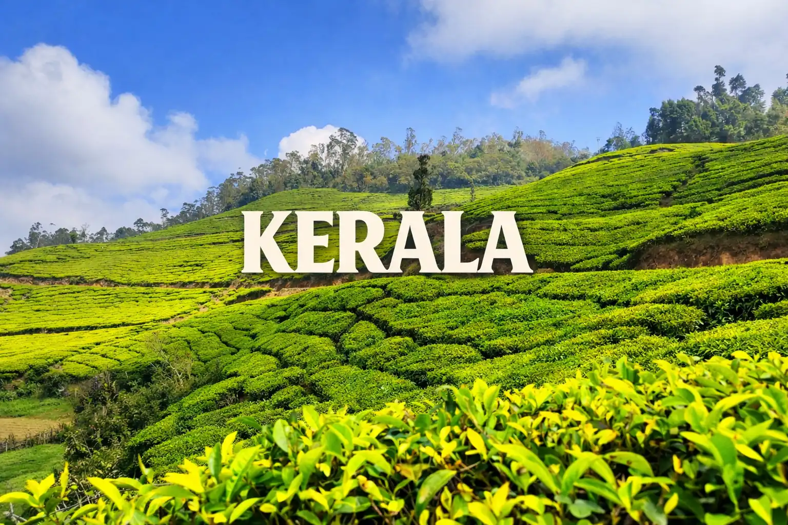 kerala